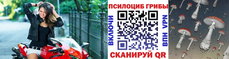 Псилоцибиновые грибы MAGIC MUSHROOMS  Златоуст 